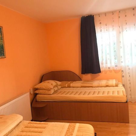 Pensiunea Colt De Rai Sacel  Bagian luar foto