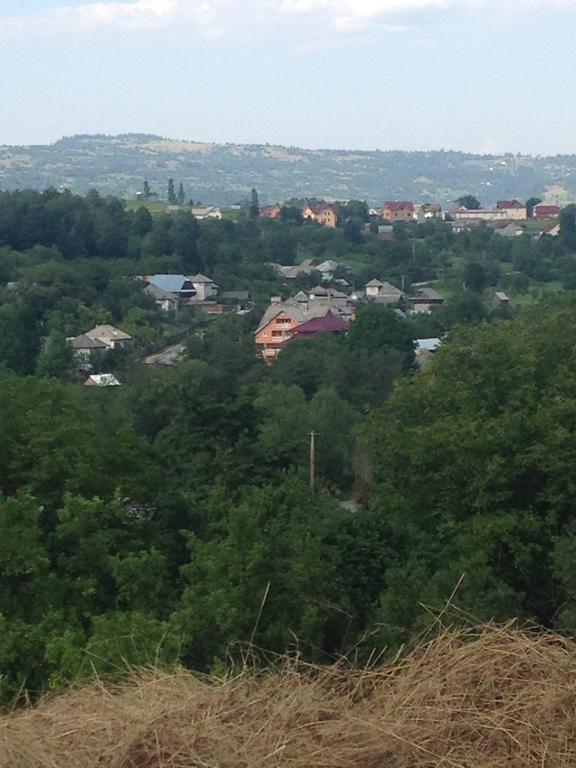 Pensiunea Colt De Rai Sacel  Bagian luar foto