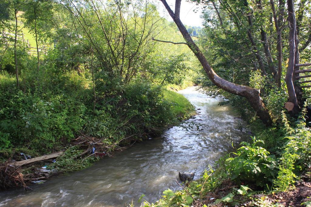 Pensiunea Colt De Rai Sacel  Bagian luar foto
