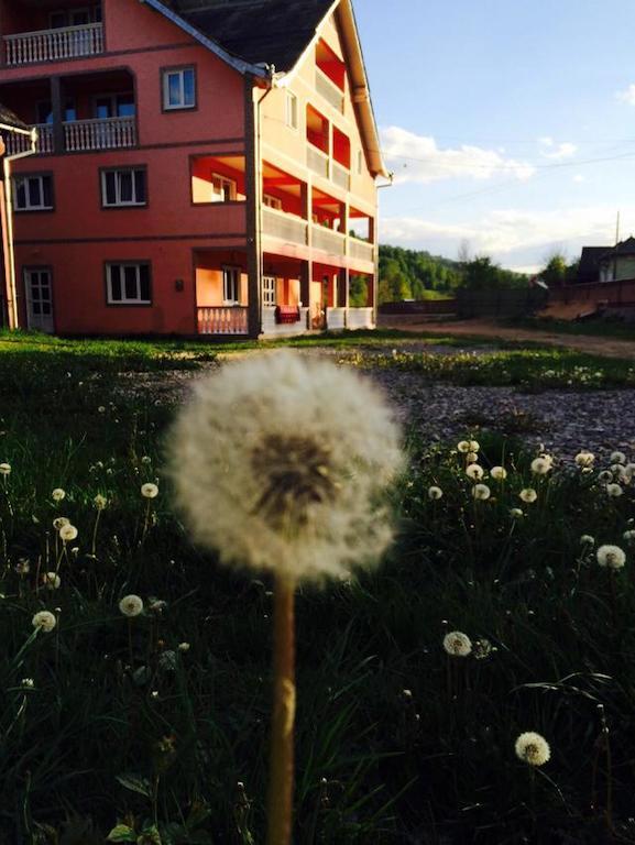 Pensiunea Colt De Rai Sacel  Bagian luar foto