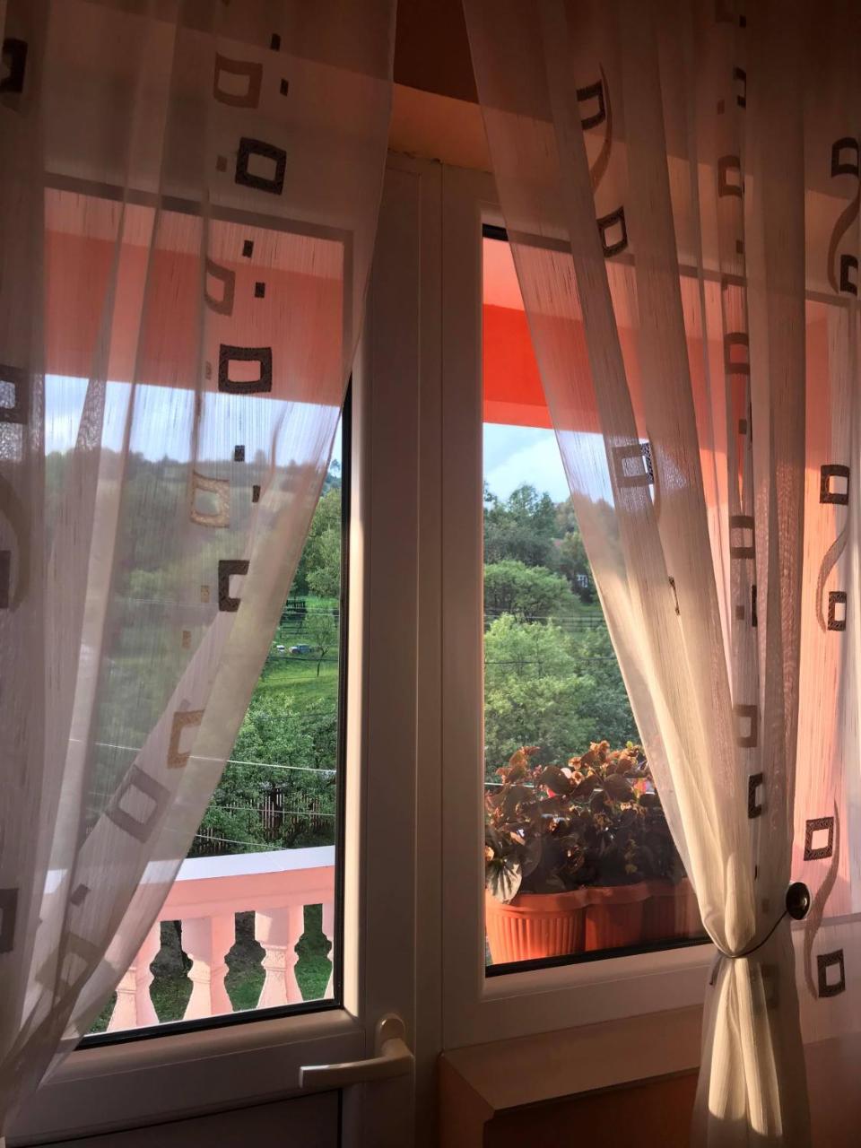 Pensiunea Colt De Rai Sacel  Bagian luar foto