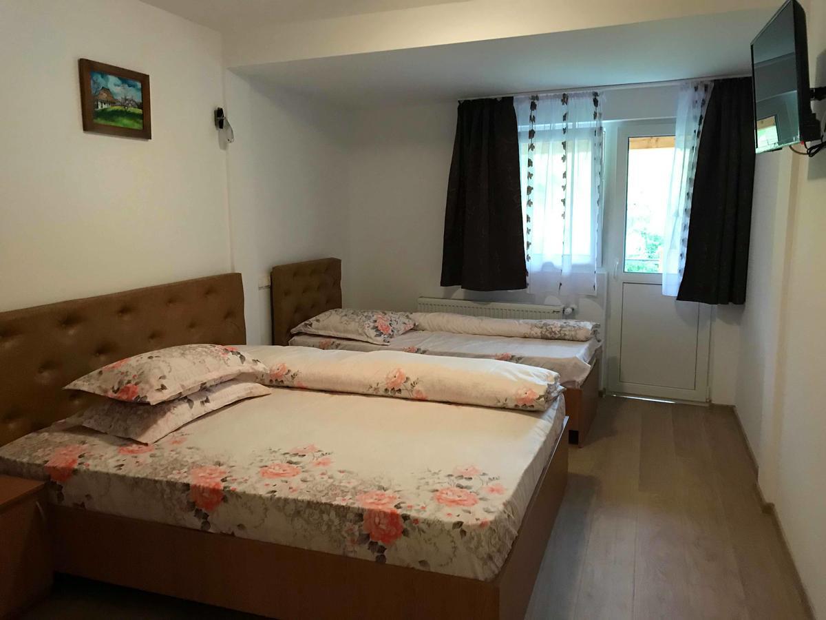 Pensiunea Colt De Rai Sacel  Bagian luar foto