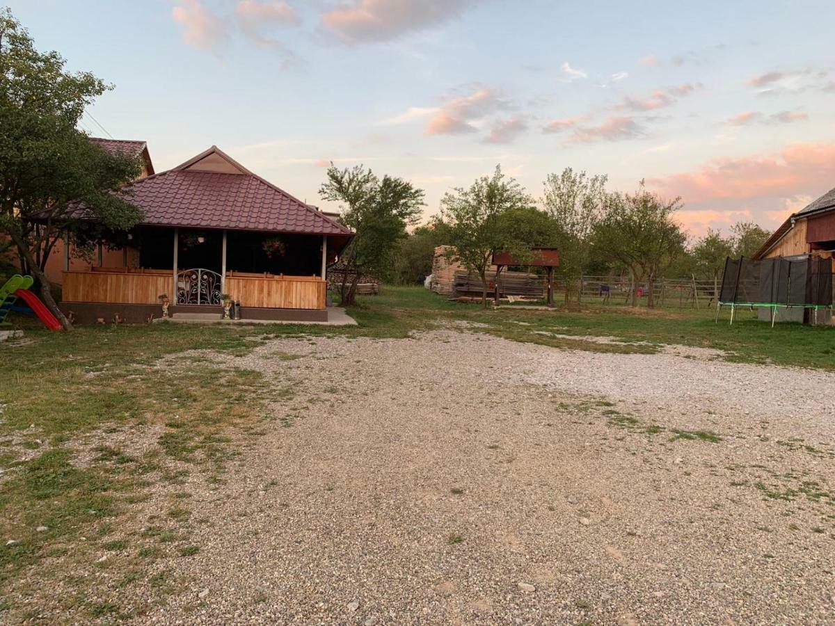 Pensiunea Colt De Rai Sacel  Bagian luar foto