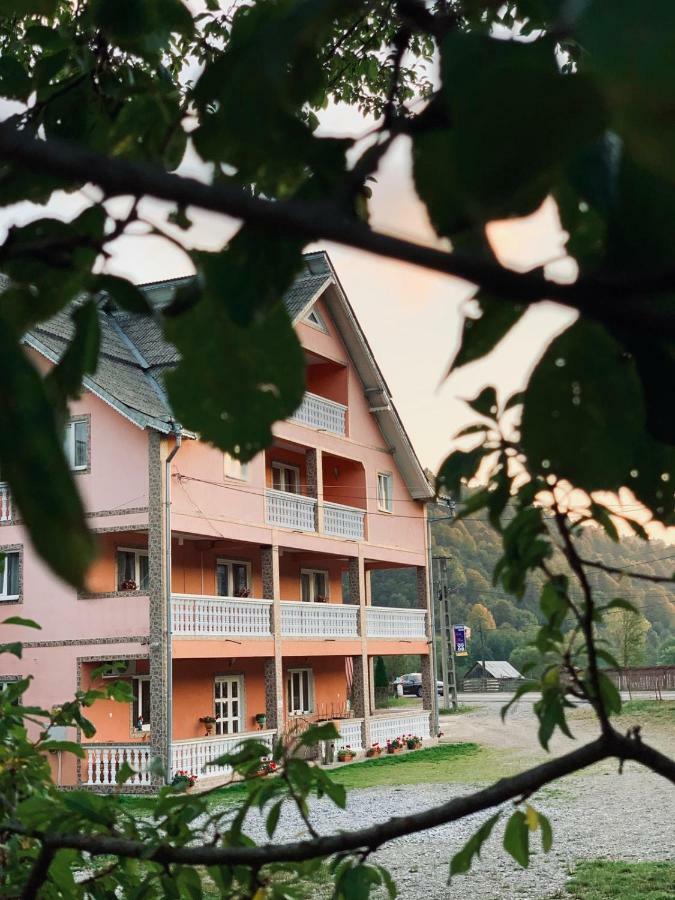 Pensiunea Colt De Rai Sacel  Bagian luar foto